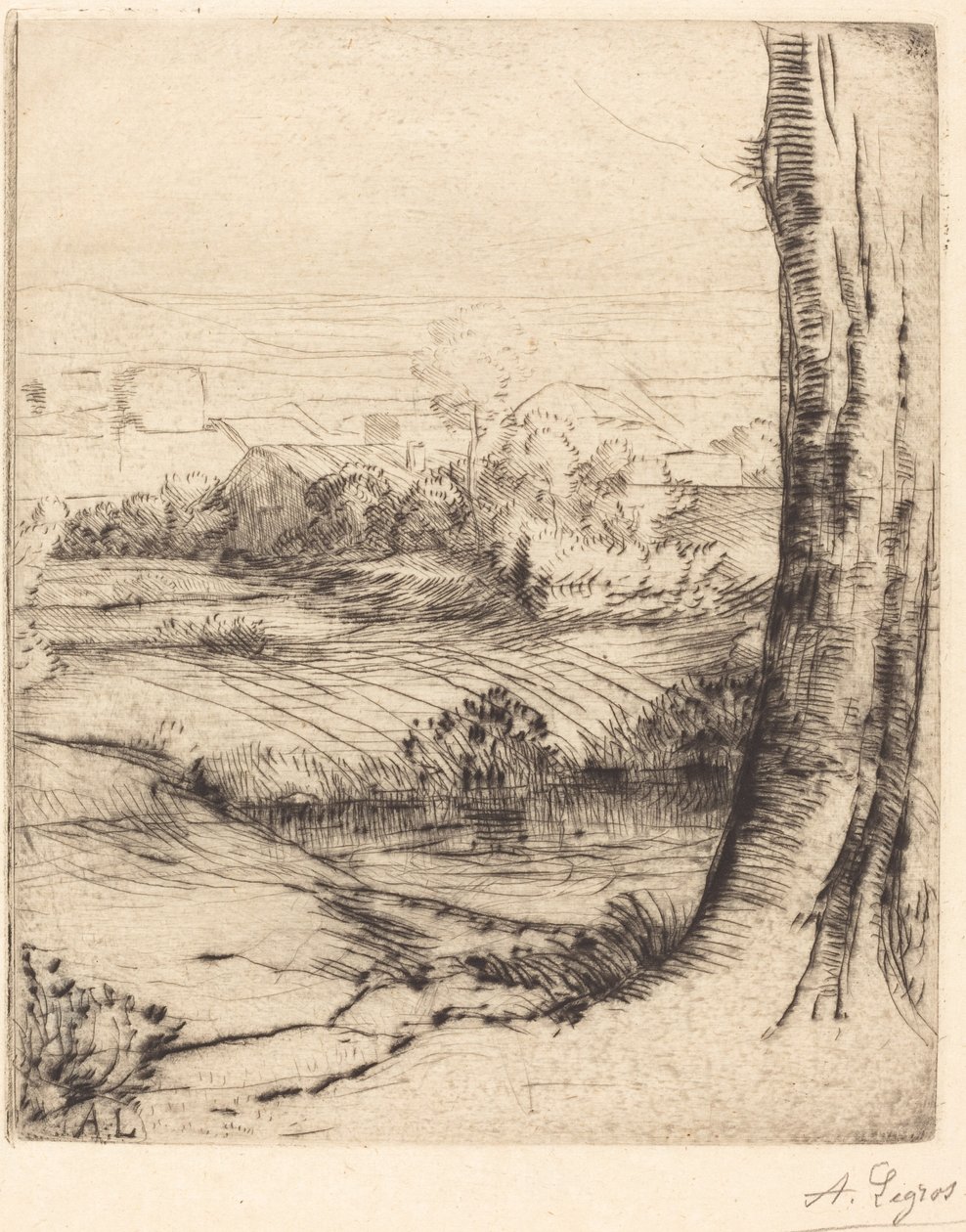Utsikt över vass (Coin de roseau) av Alphonse Legros