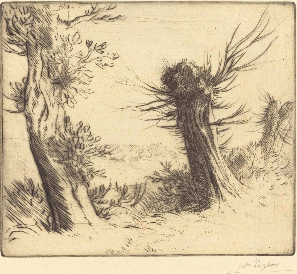 Willows (Les saules) av Alphonse Legros