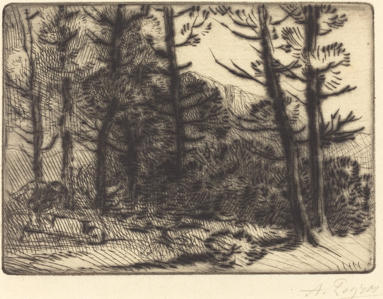 Skog i vintersol, 2:a tallrik av Alphonse Legros
