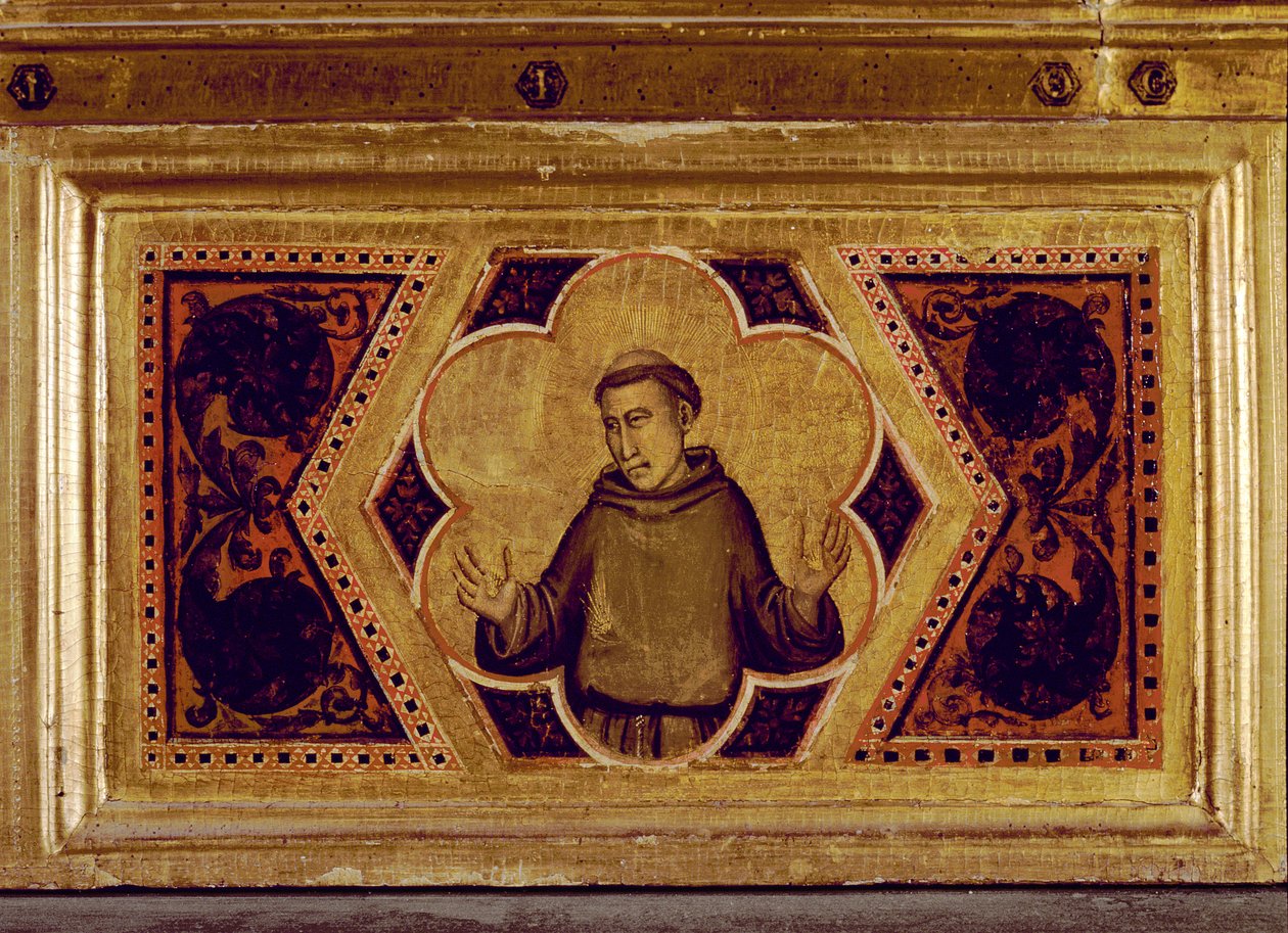 St. Franciskus av Assisi, från Jungfruns kröning polyptyk (mitten höger predella) (se även 65540-65551) av Ambrogio Bondone Giotto