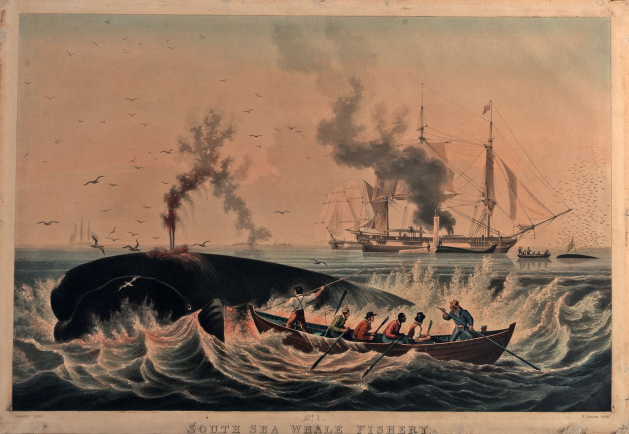 Valfiske i Söderhavet av Ambroise Louis (after) Garneray