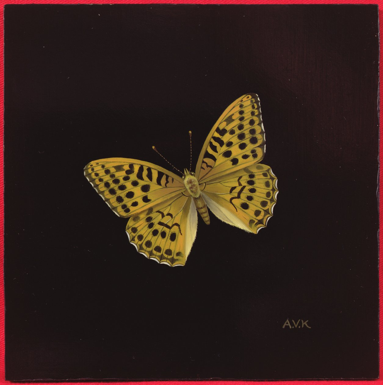 Silvertvättad fritillary fjäril, 2000 av Amelia Kleiser