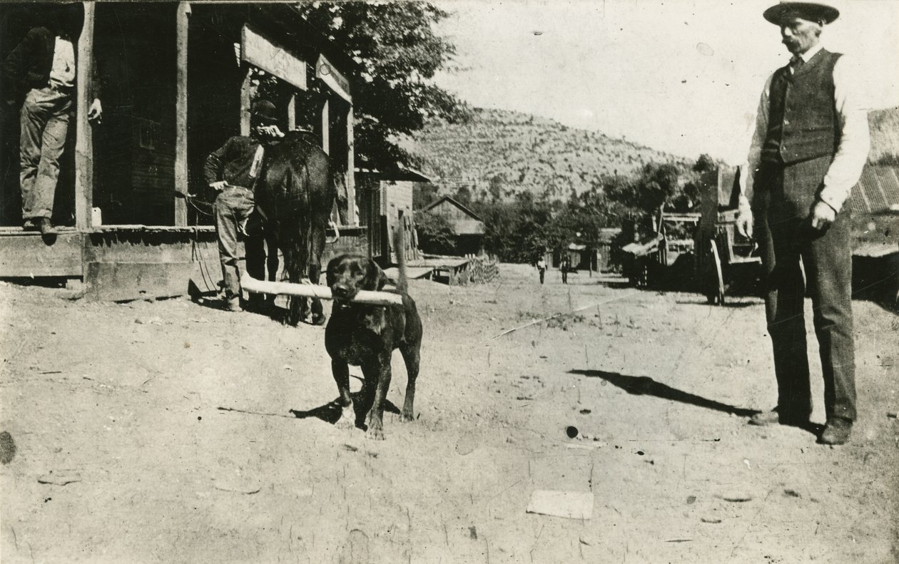 Butch Cassidy (1886-1908) av American Photographer