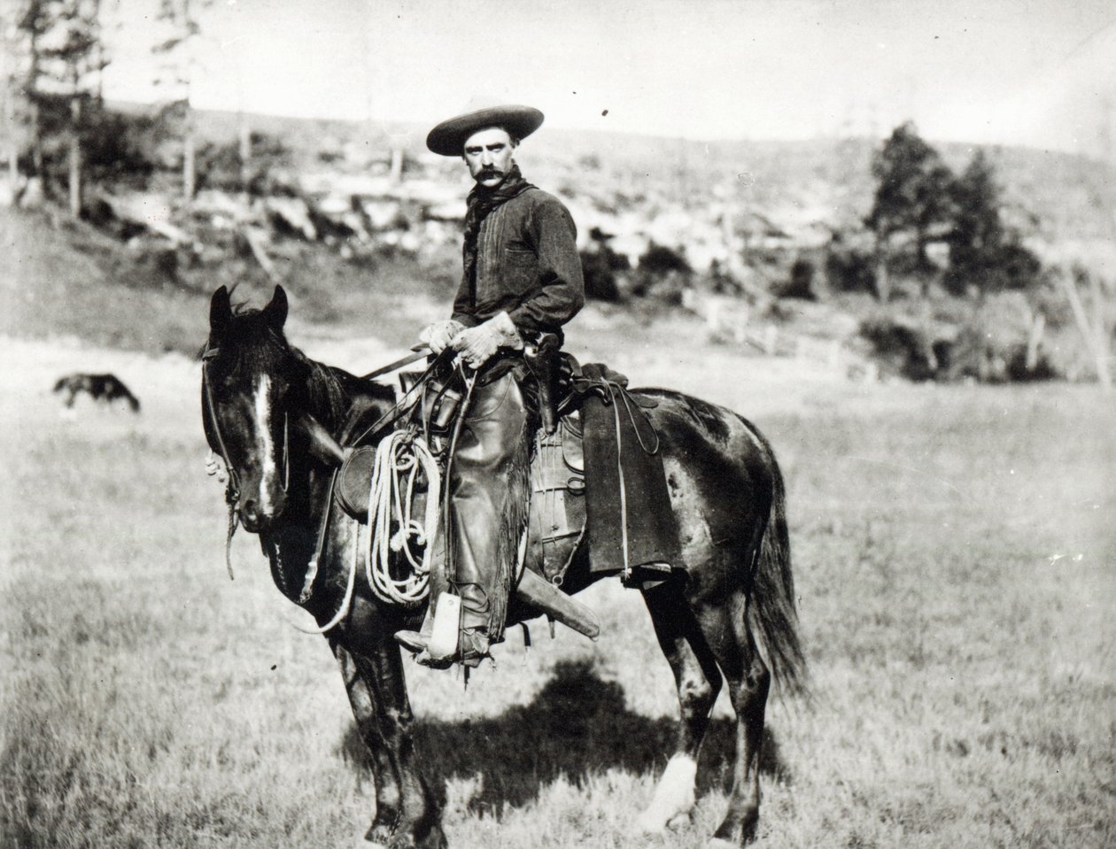 Cowboy rider på en häst i Montana, USA, ca. 1880 av American Photographer