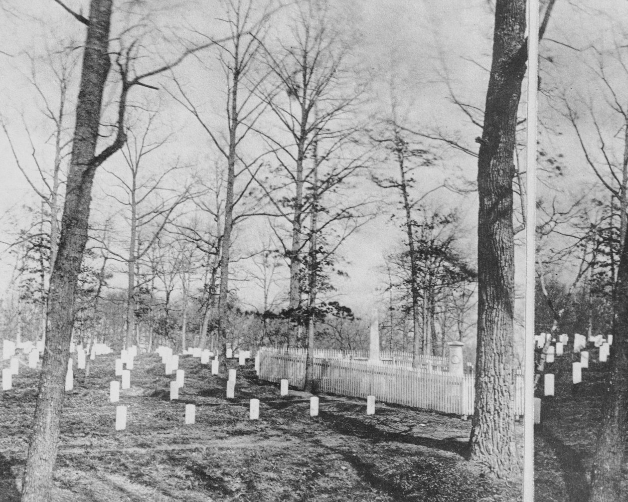 Graves of Mr and Mrs Custis, omgiven av Union Dead, Arlington Cemetery av American Photographer