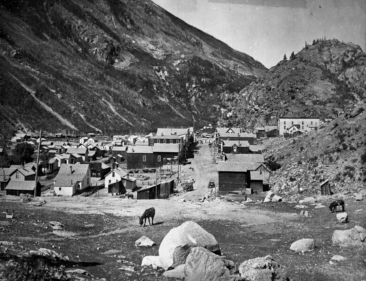 Silver Plym - före branden den 5 november 1884, ca 1880-84 av American Photographer