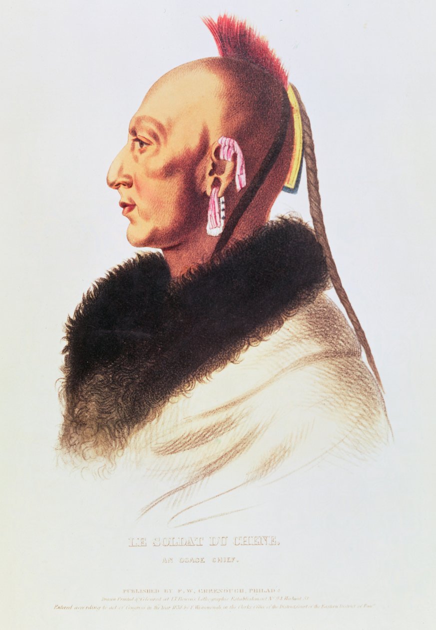 En Osage Chief av American School