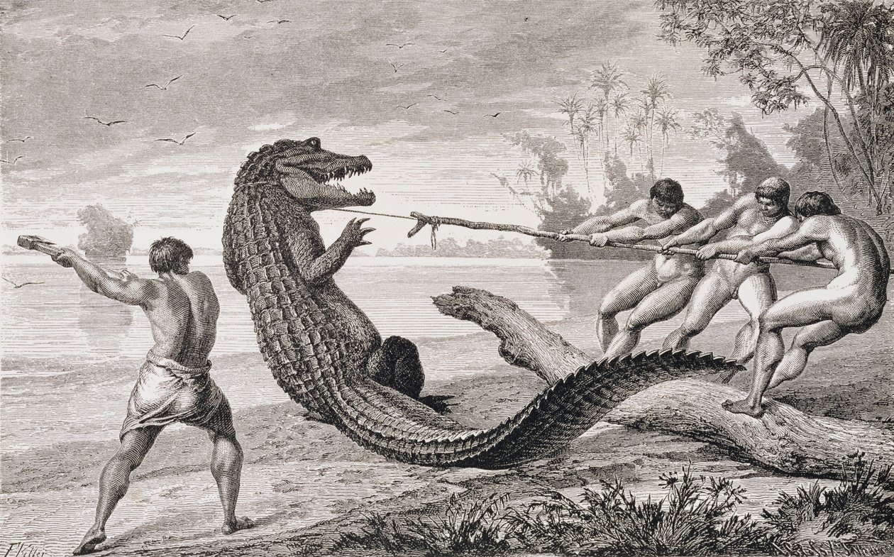 Att fånga en alligator med lasso, från "The Amazon and Madeira Rivers", av Franz Keller, 1874 av American School