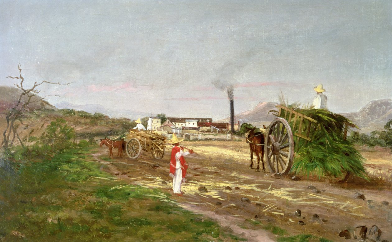 Bönder som samlar sockerrör, Centralamerika, c.1840 av American School