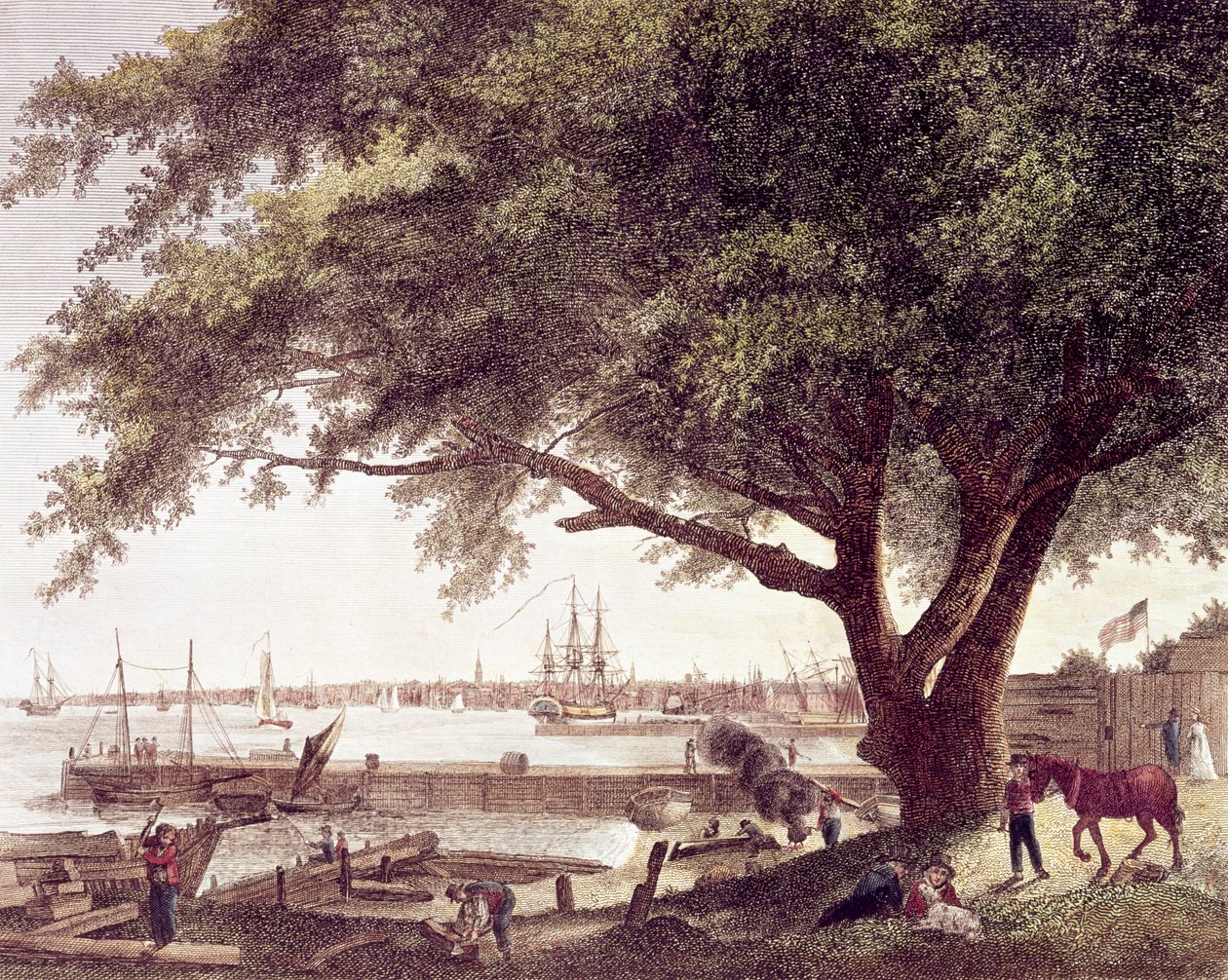 Staden och hamnen i Philadelphia, vid floden Delaware, från Kensington, 1800 av American School