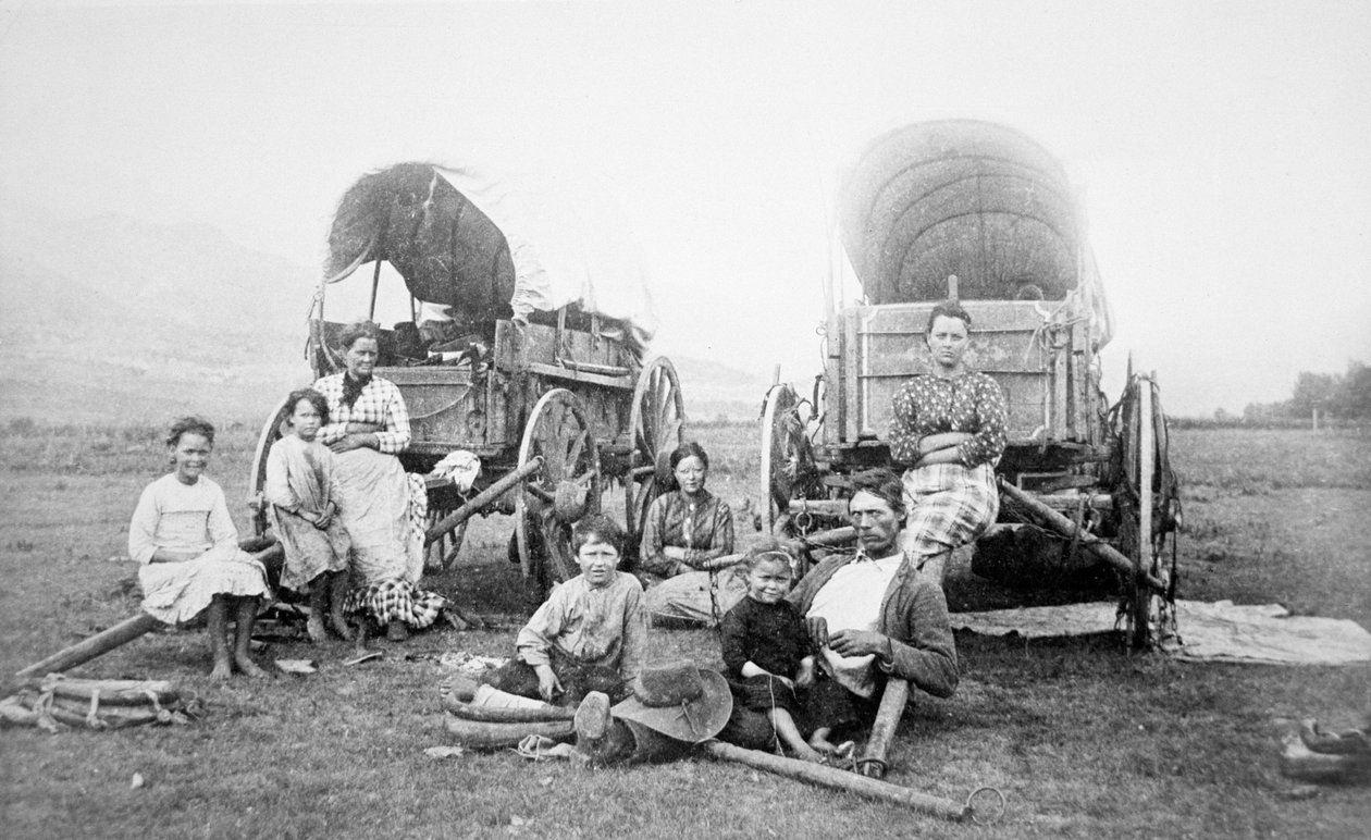 American Pioneer Family, ca 1870 (s/v foto) av American Photographer