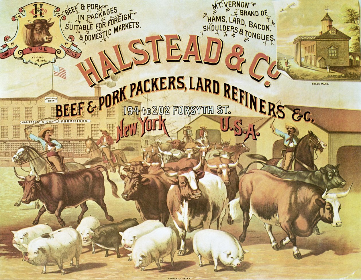 Beef & Pork Packers, c.1880 (färg litho) av American Photographer
