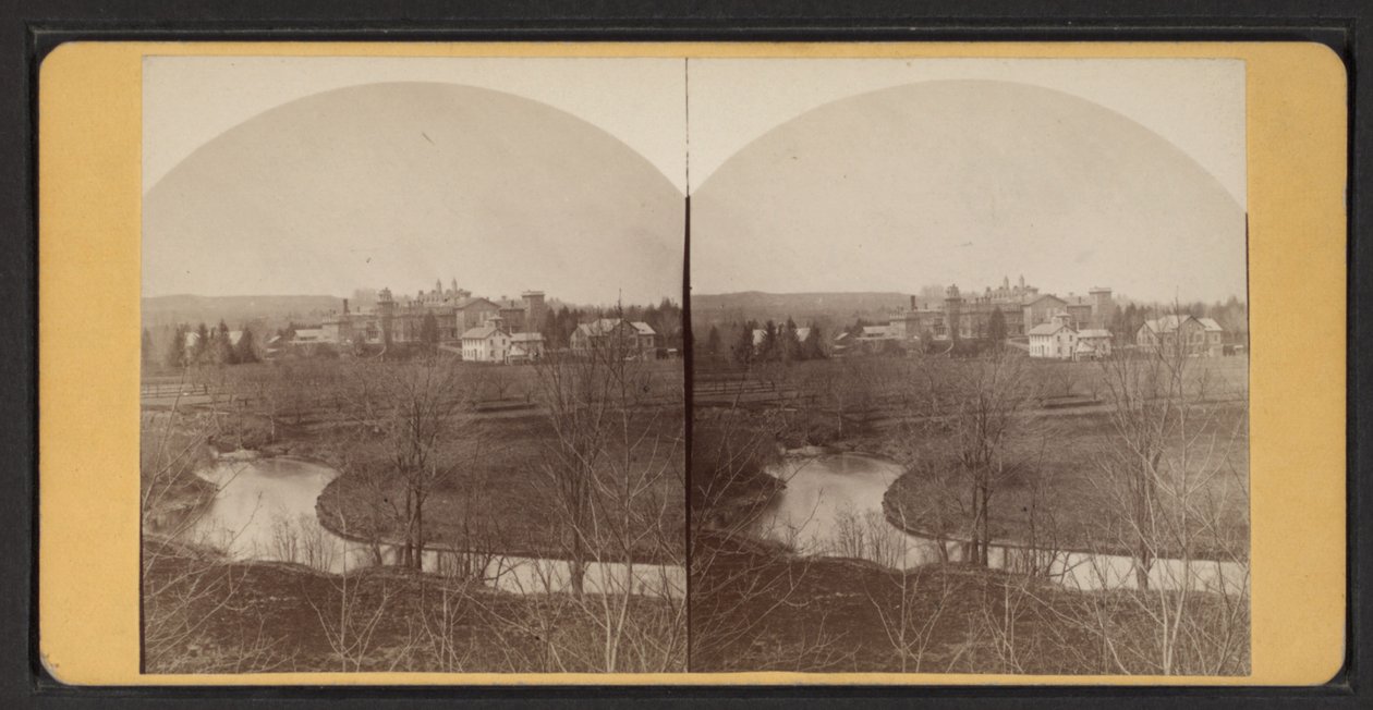 Fågelperspektiv av hembyggnader, ca 1870 (s/v-foto) av American Photographer