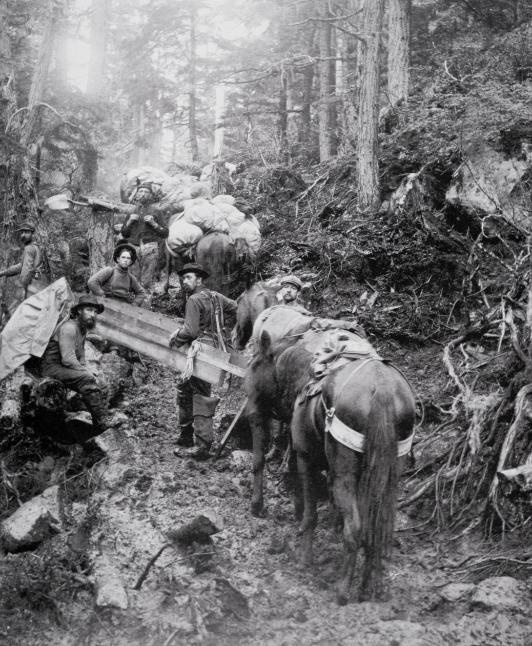 Att klättra på Dyea Trail på väg till Chilkoot Pass under Klondike Gold Rush (1897-98) (s/v foto) av American Photographer