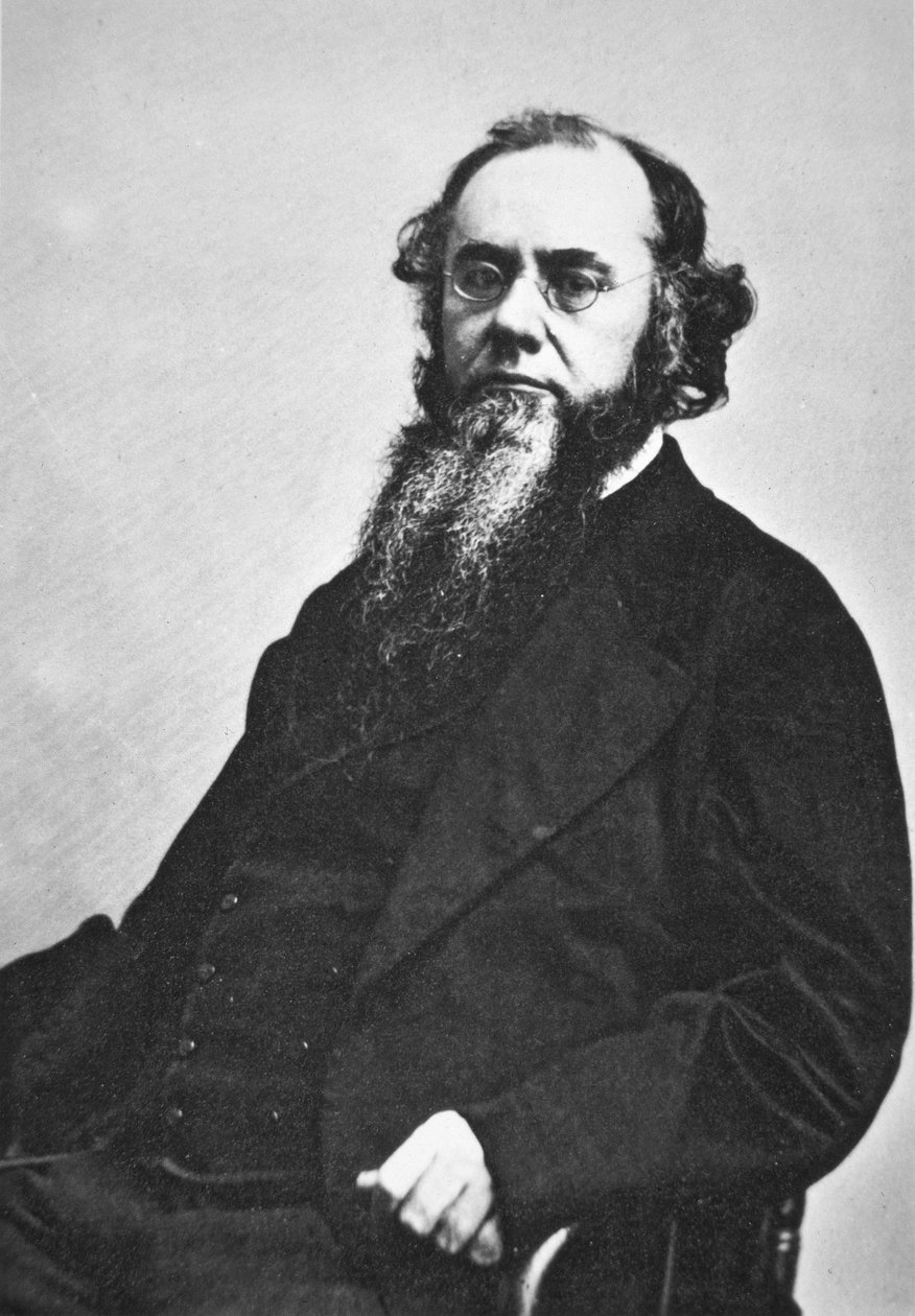 Edwin M. Stanton (1814-69) (s/v foto) av American Photographer