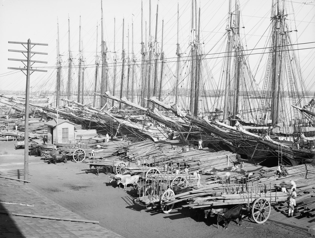 Muelle Tallapiedras, Havanna, ca 1904 (s/v foto) av American Photographer