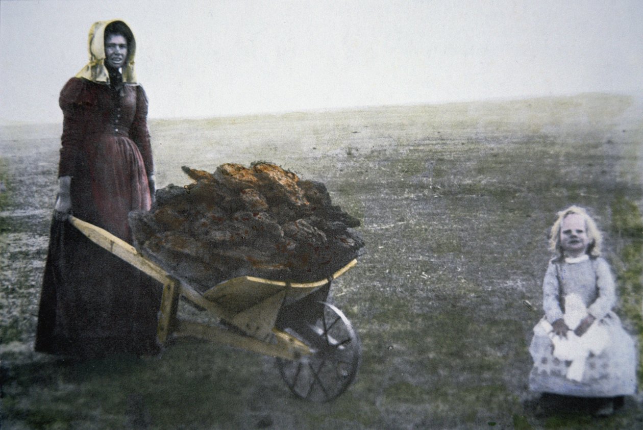 Pionjärkvinna som samlar boskapsdynga, Kansas, ca 1880 (färgat foto) av American Photographer