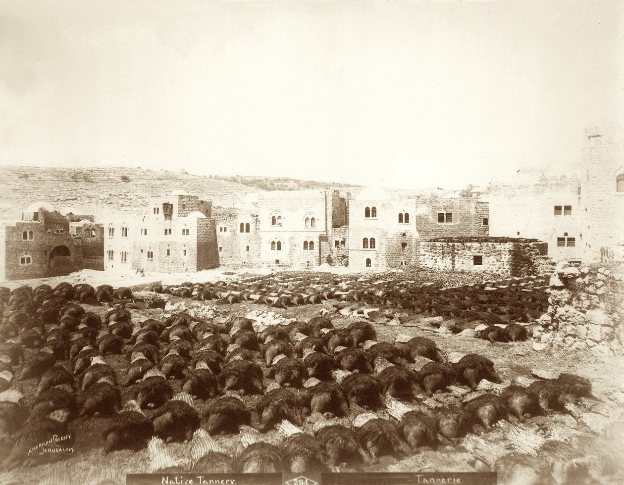 Garveri i Hebron med hudar utlagda i förgrunden, 1898-1911 av American Photographer