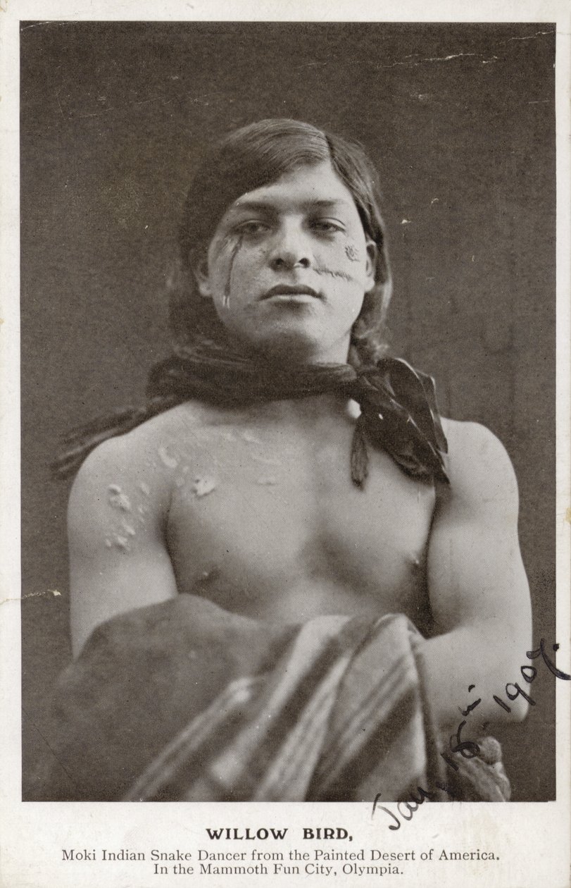 Willow Bird - Moki-indiansk ormdansare från den målade öknen i Amerika (svartvitt foto) av American Photographer