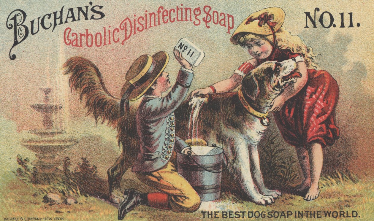 Annons för Buchans Carbolic Disinfecting Soap No. 11, c.1880 av American School