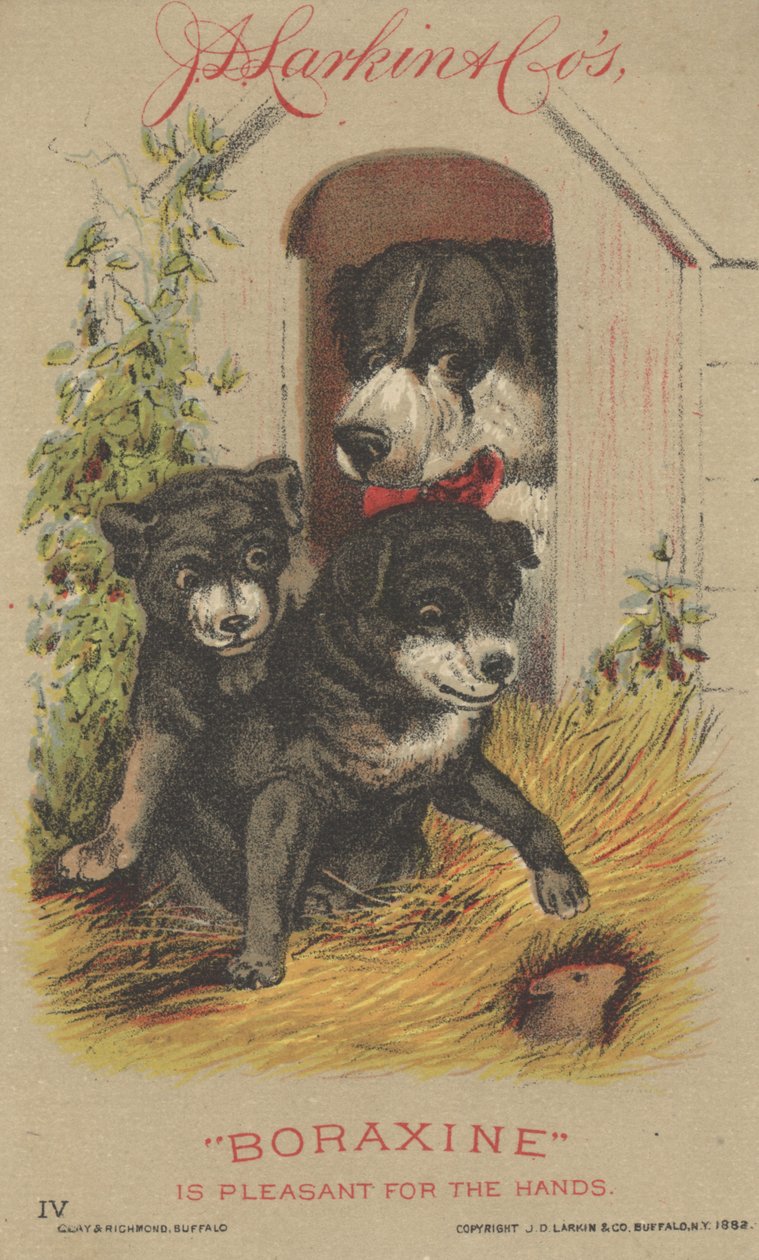 Annons för J. D. Larkin & Cos Boraxine, 1882 av American School