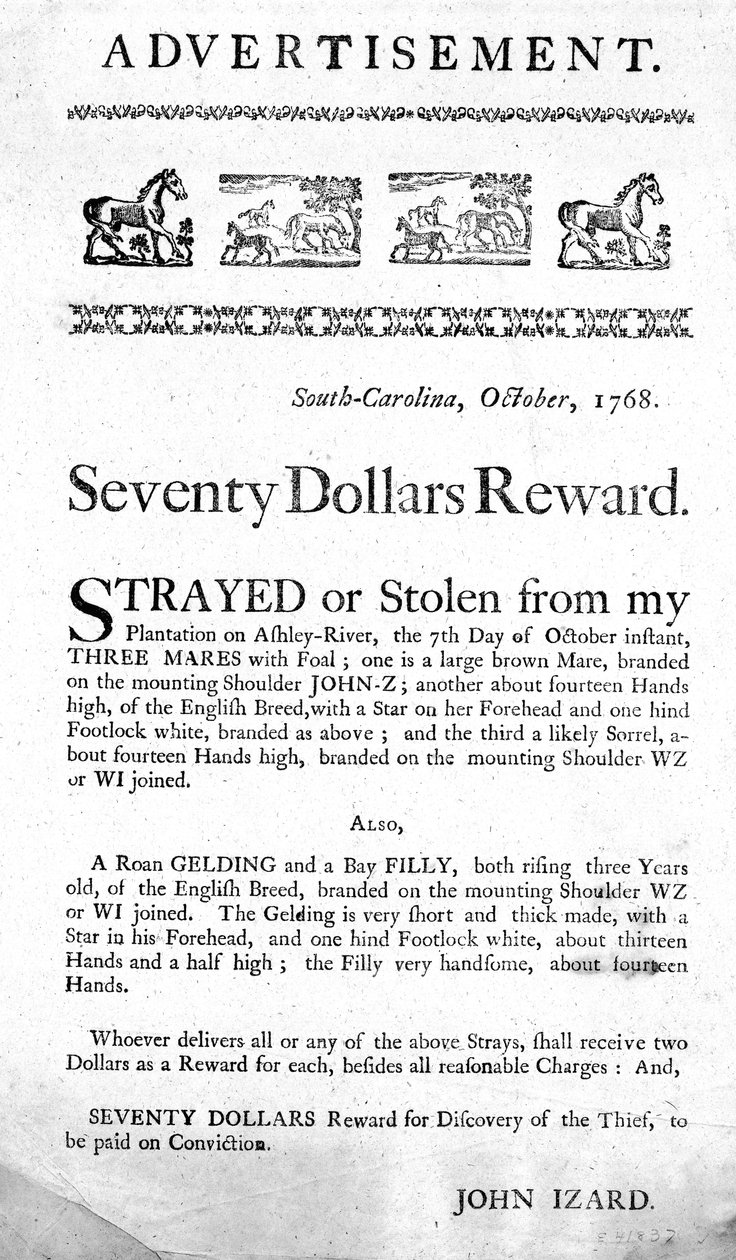 Annons som erbjuder en belöning på sjuttio dollar för återhämtning av bortsprungna (eller stulna) hästar och tillfångatagande av tjuven, publicerad i South Carolina, 1768 (tryckt) av American School