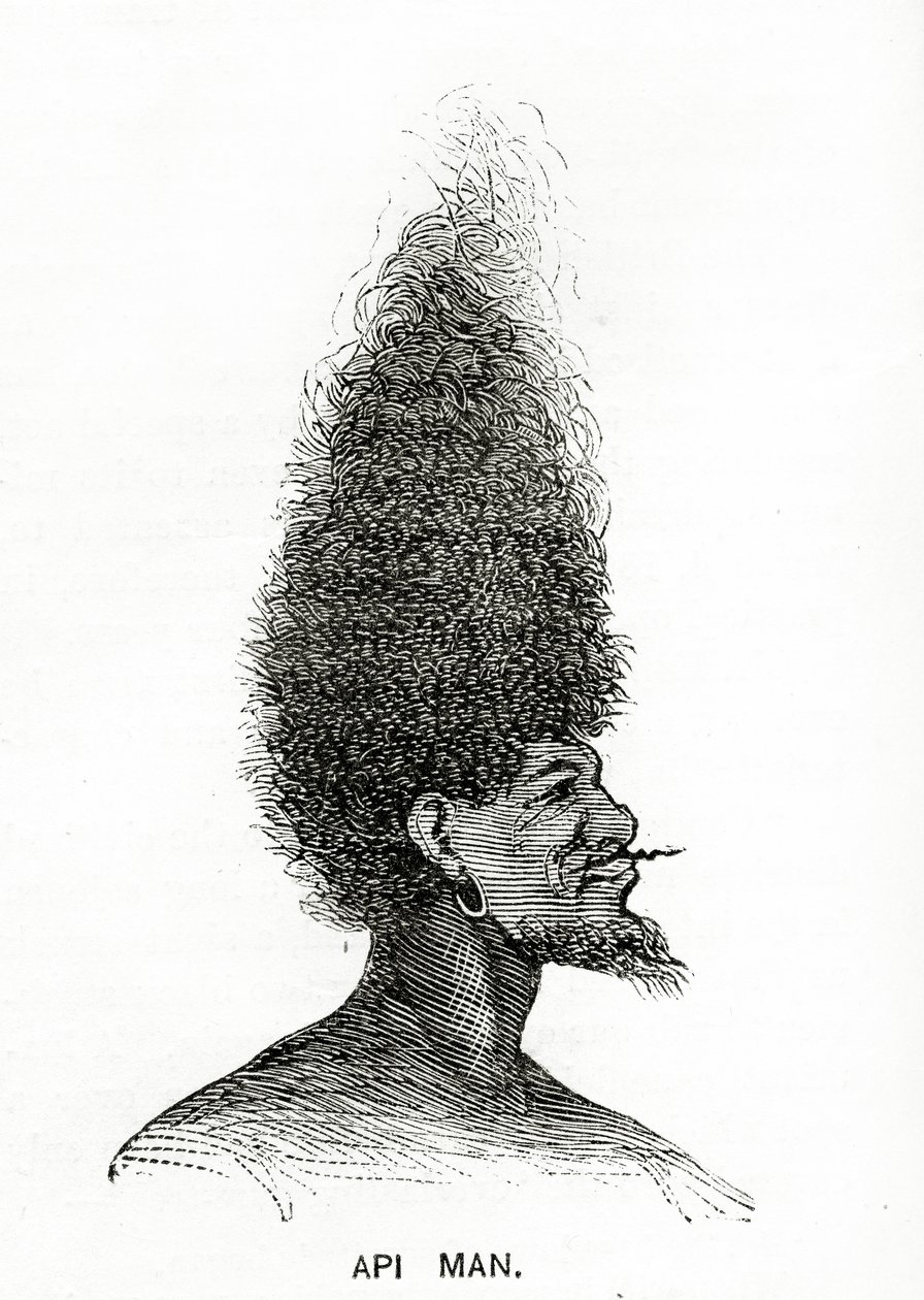 Api Man, illustration från Appletons Journal, 4 maj 1872 av American School