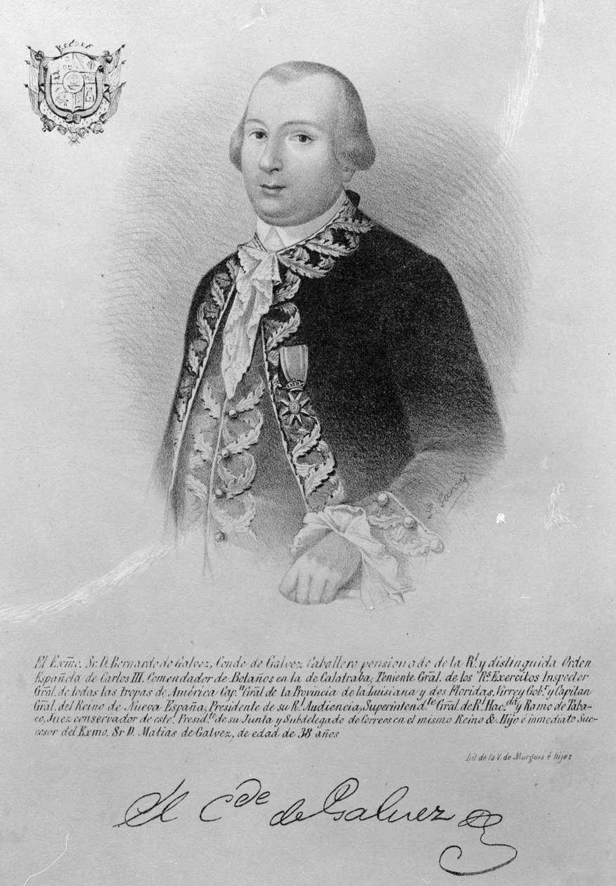 Bernardo de Galvez  av American School