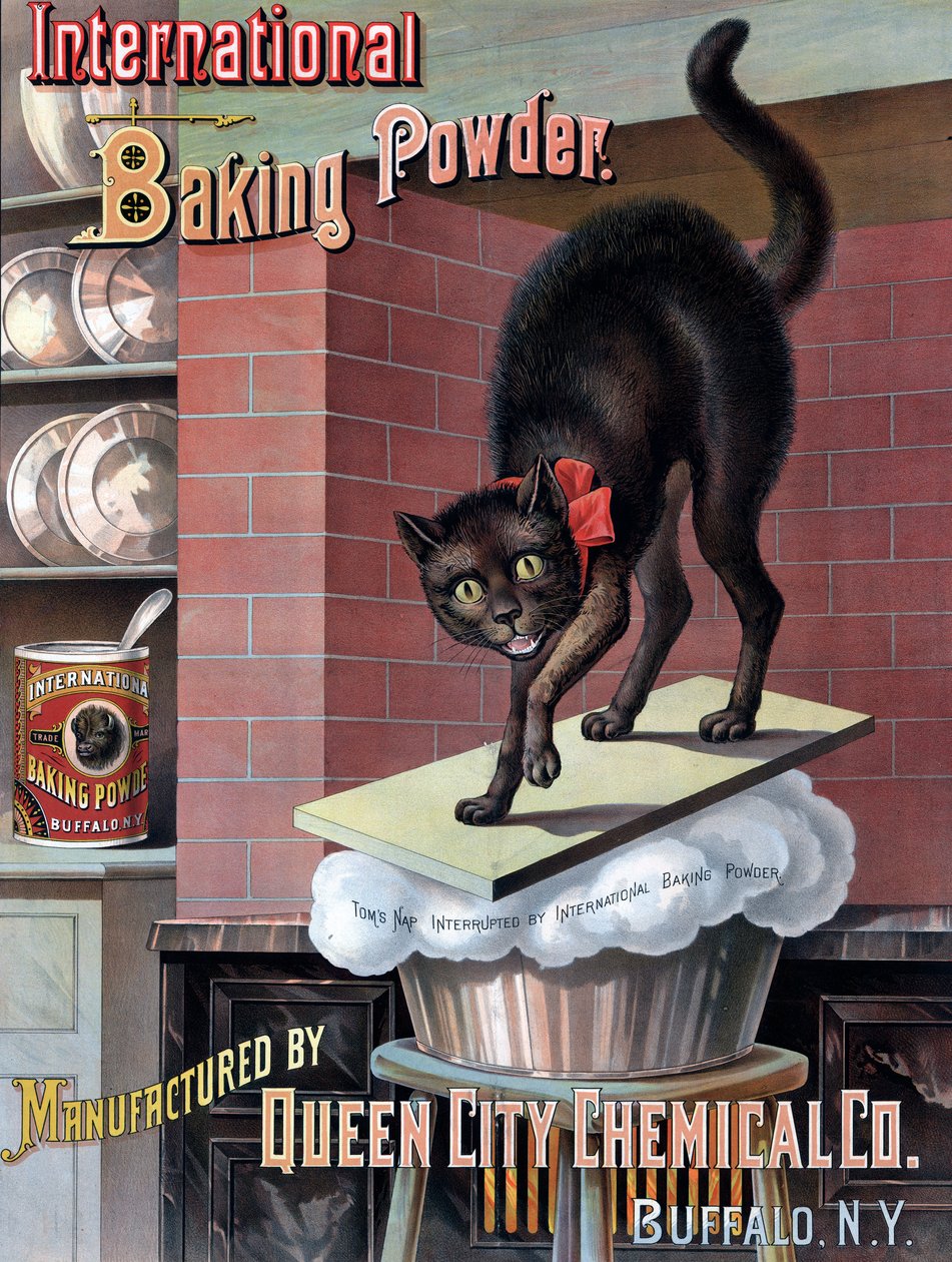 Svart katt som vaknar av jäsande bröddeg, ca 1885 (kromolitografi) av American School