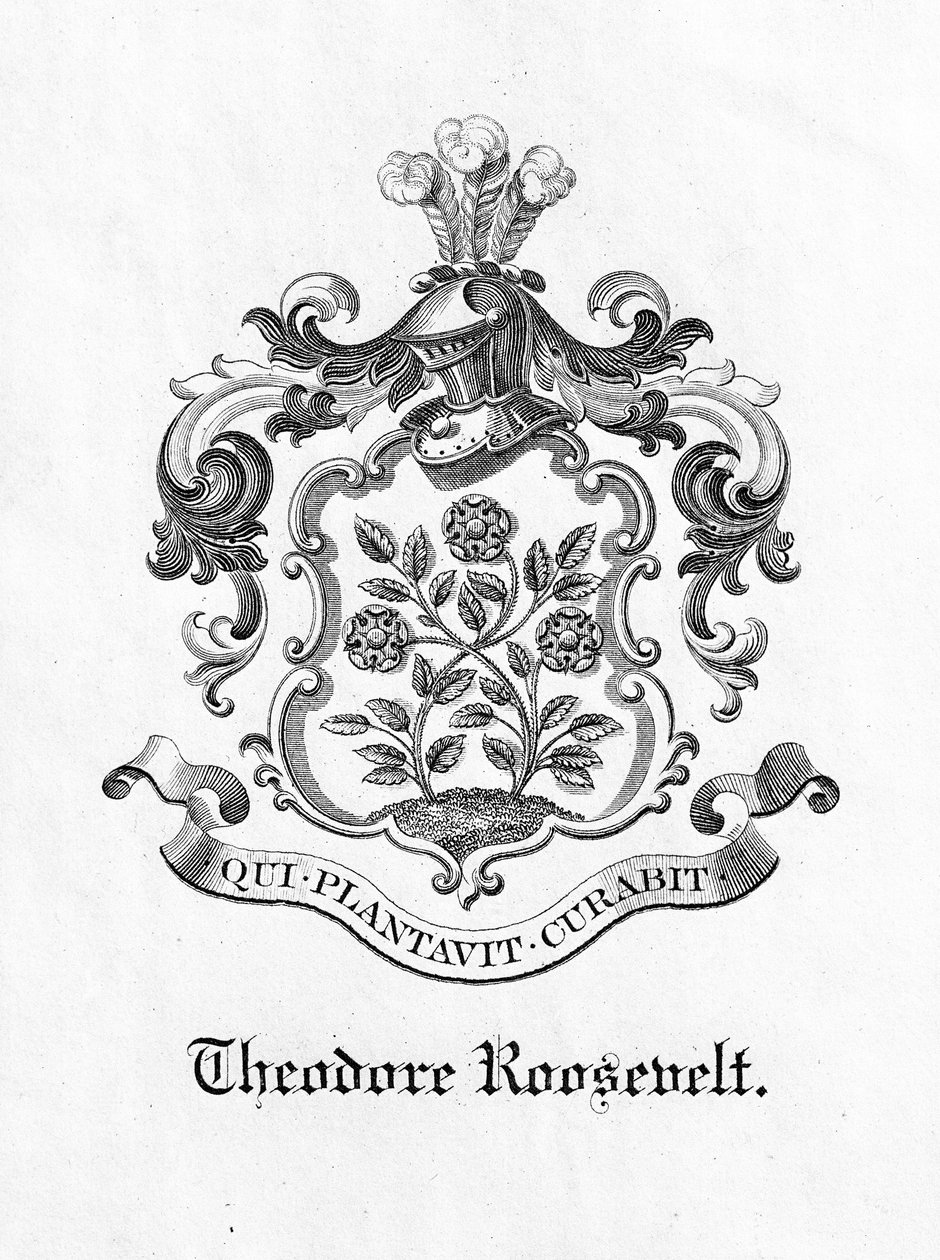 Bokskylt av president Theodore Roosevelt (1858-1919) (tryck) av American School