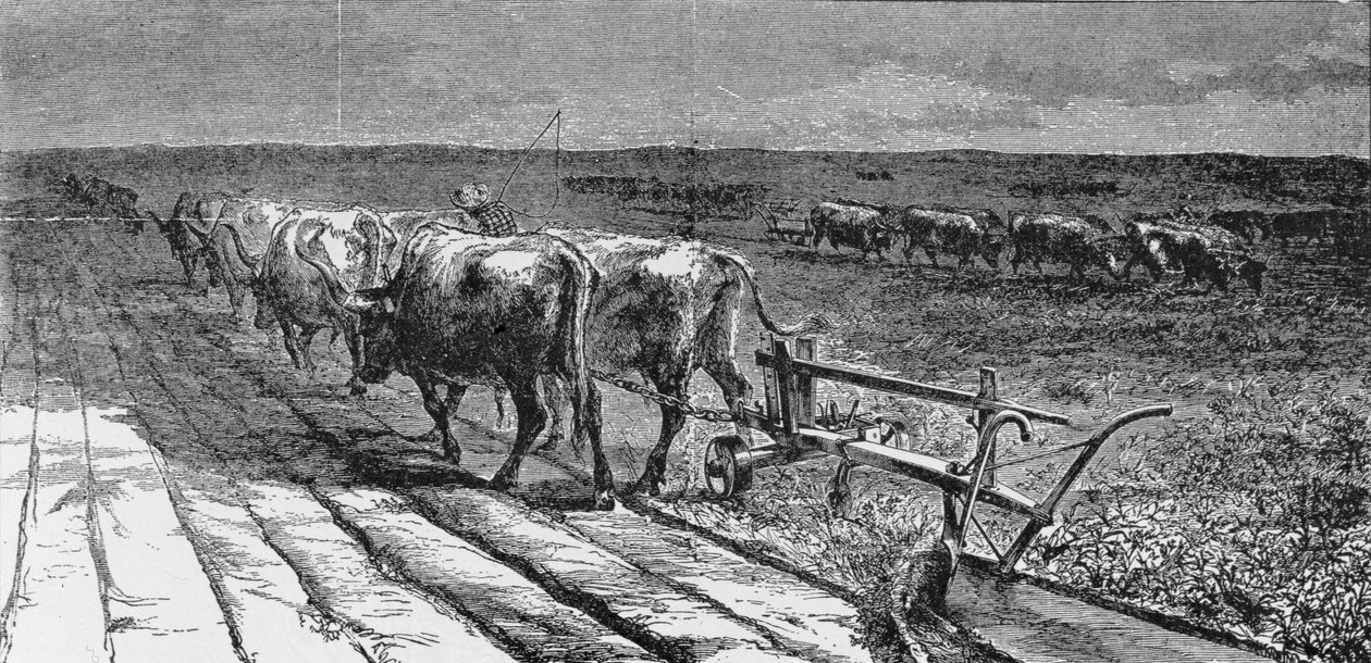 Breaking the Prairie, illustration från 