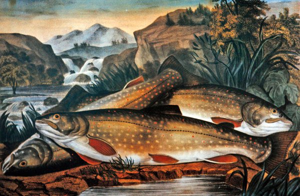 Bäcköring- Just Caught, utgiven av Currier & Ives, c.1870 (lito i färg) av American School