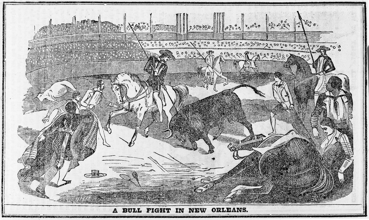 Tjurfäktning i New Orleans, från Davy Crocketts Almanack, Boston, 1849 av American School