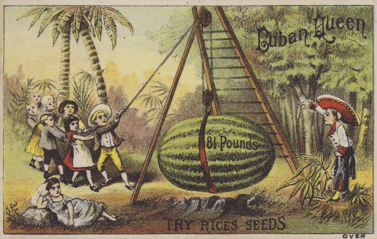 Barn som lyfter upp en enorm vattenmellon (chromolitho) av American School
