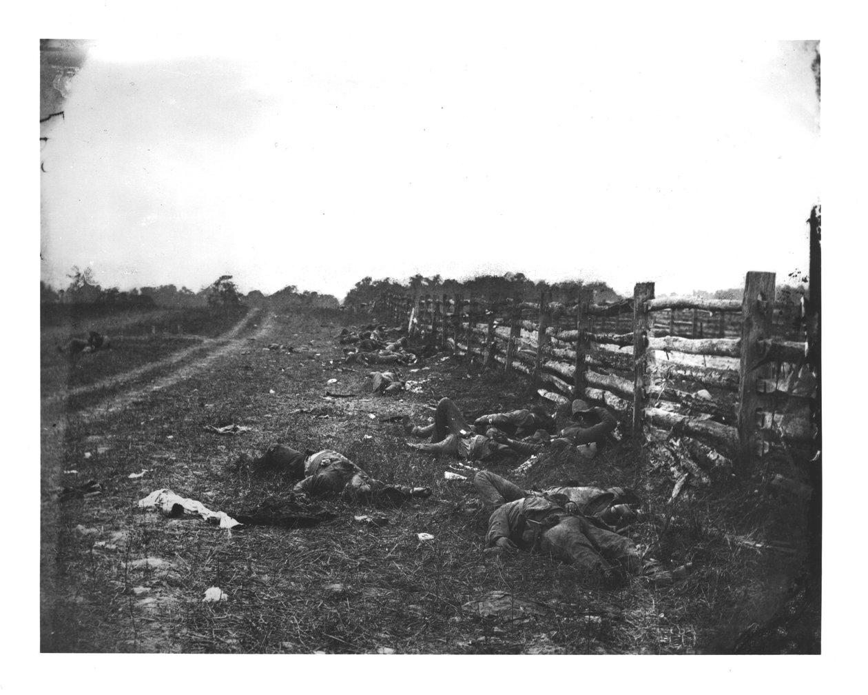 Konfedererade döda längs västsidan av Hagerstown Pike, slaget vid Antietam, 19 september 1862 av American School