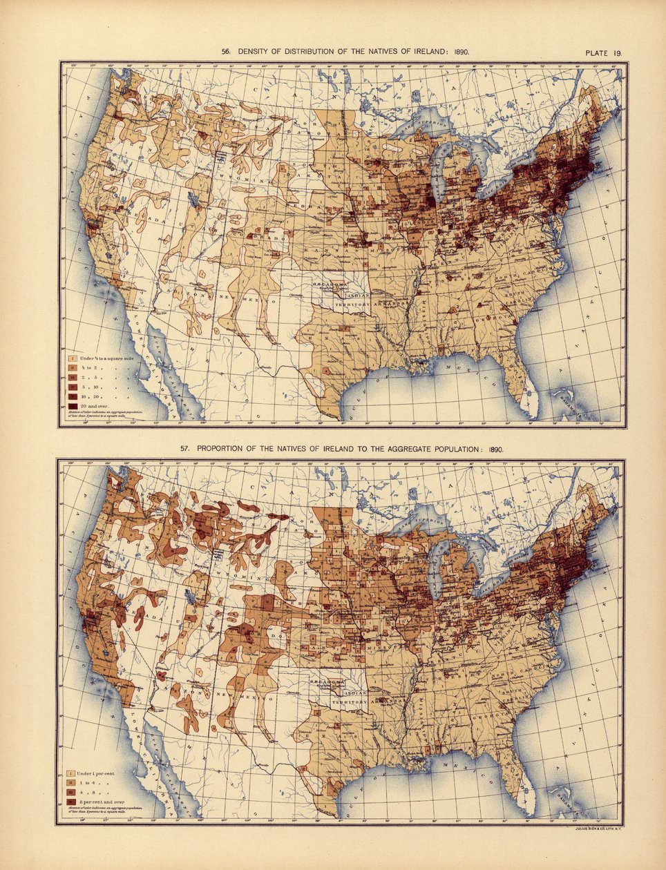 Utbredningstätheten för Irlands infödda och deras andel av den samlade befolkningen, 1898 av American School