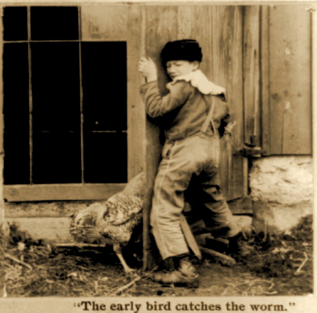 Detalj av "The early bird catches the worm" stereoskopiskt kort c.1900 (s/v foto) av American School