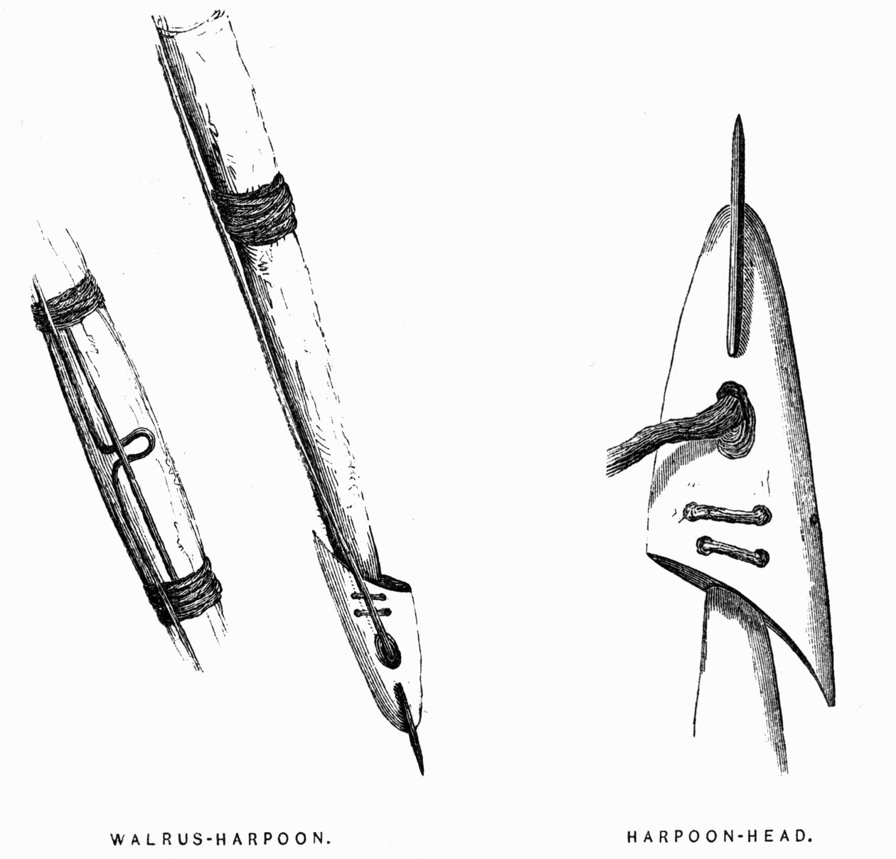 Eskimo Hunting Tools: Harpuner - Elisha Kent Kane, Arctic Explorations in the Years 1853-1855, vol. 1, sid. 412, Philadelphia av American School