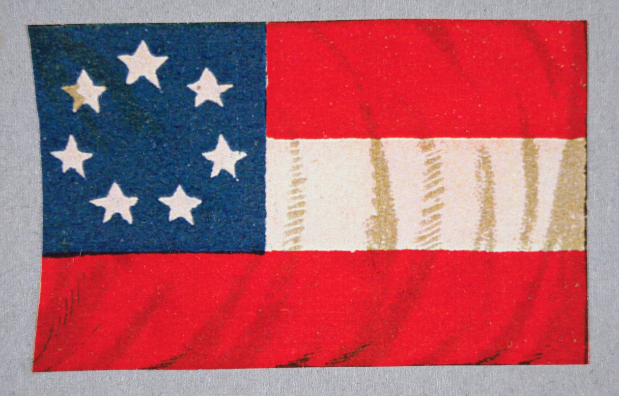 Amerikas konfedererade staters flagga (färg litho) av American School
