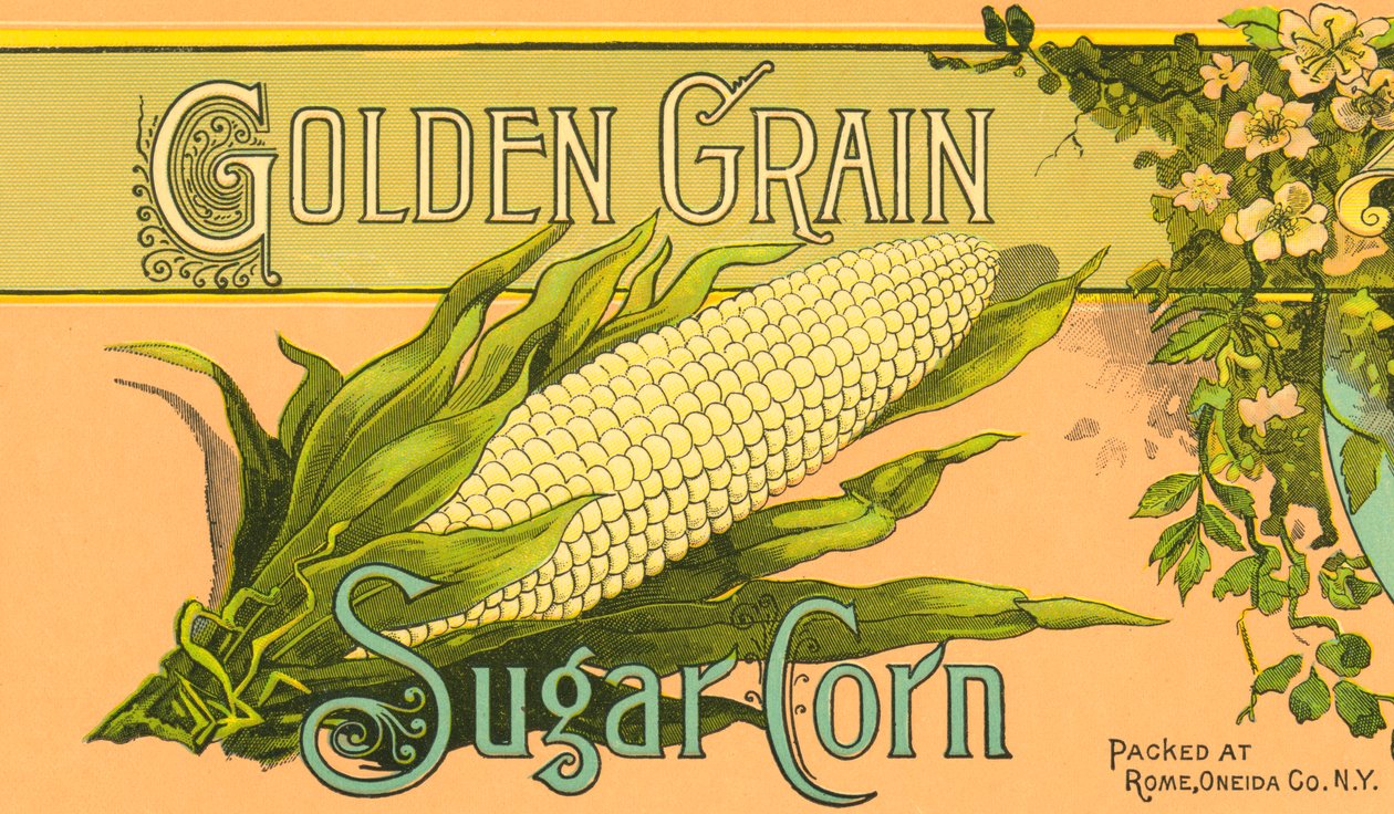 Produktetikett för sockermajs med gyllene korn, ca 1890 (färglitografi) av American School