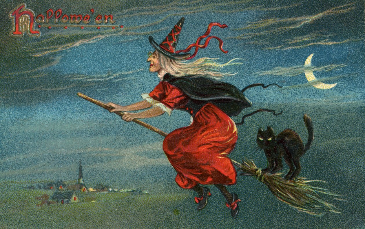 Halloweenhäxa och svart katt som rider på kvast på natten av American School