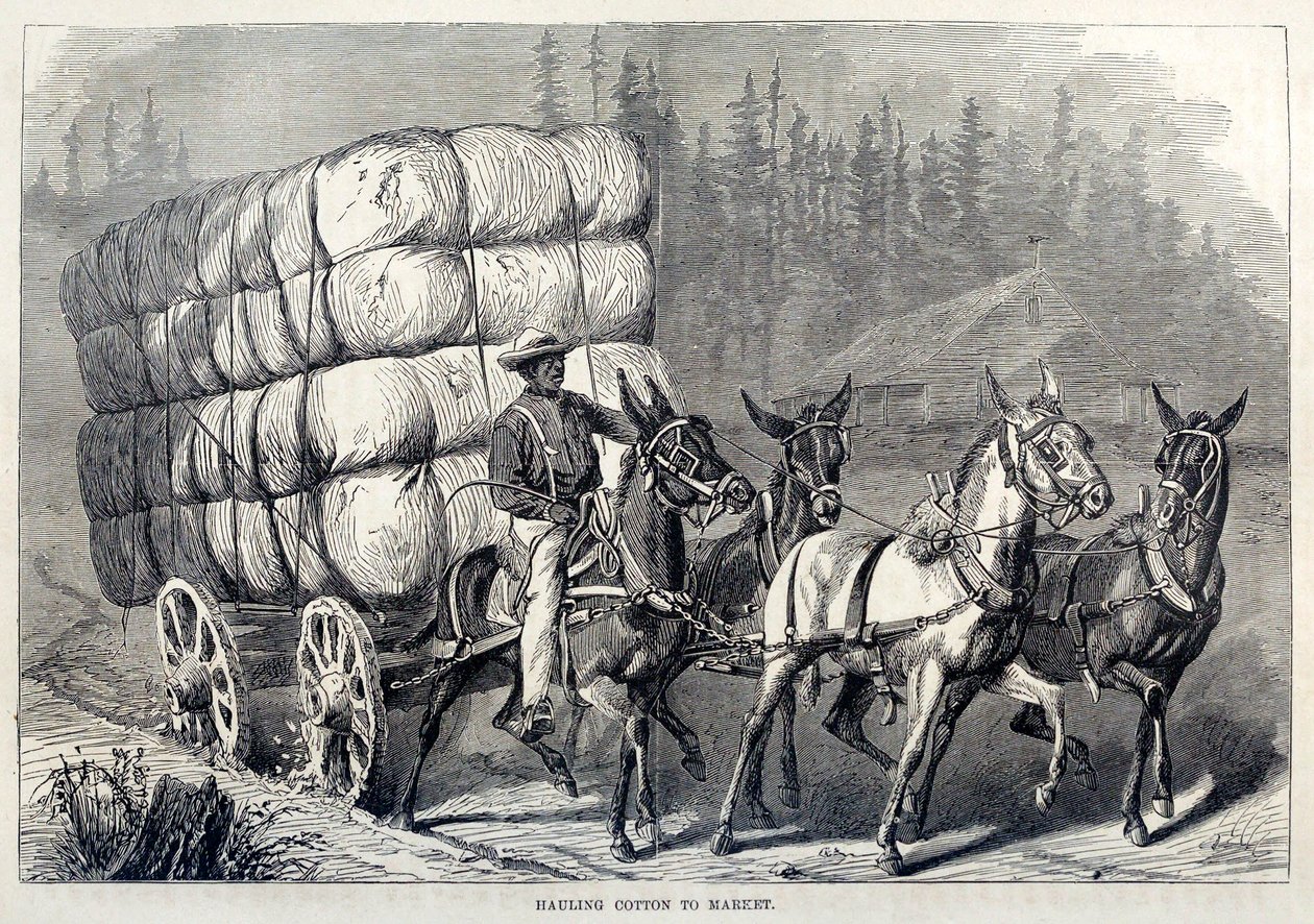 Hauling Cotton to Market, från etthundraåriga framsteg i USA, pub. 1871 gravyr av American School