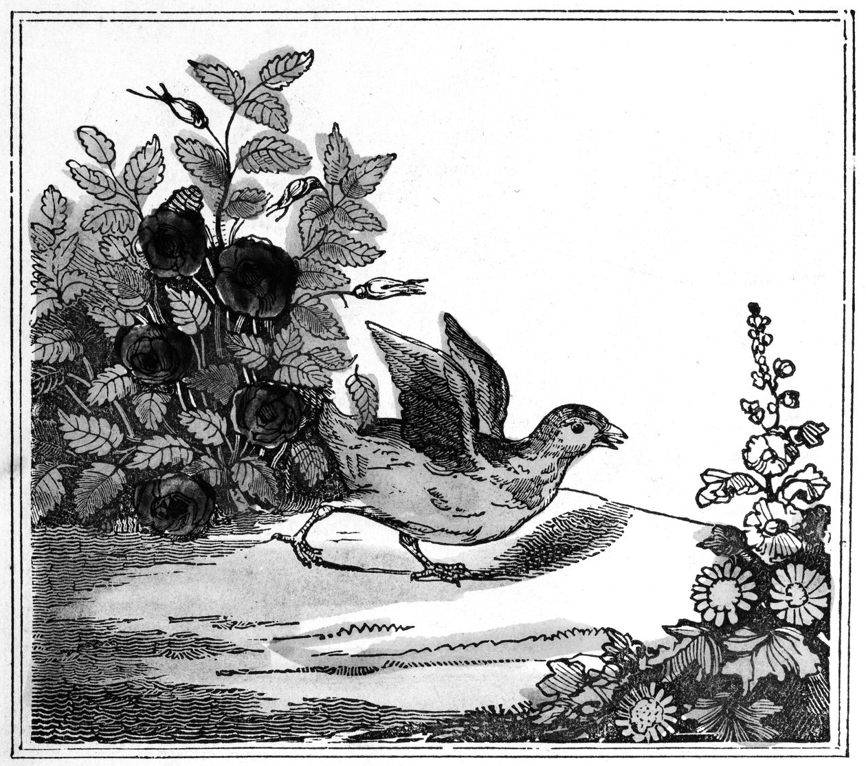 Illustration från den märkliga historien om Chicken Little, 1840 av American School