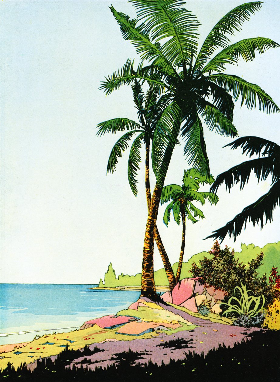 Illustration av strandparadis med palmer av American School