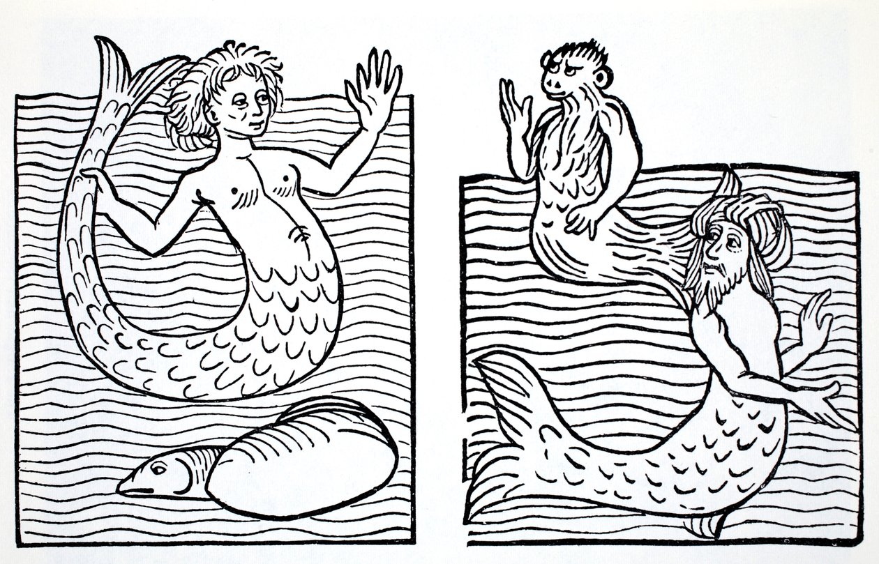 Mermaids and Mermen, från The World Guide to Gnomes, Fairies, Alves and Other Little People av Thomas Keightley (1789-1872) Publicerad 1880, (BW Engraving) av American School