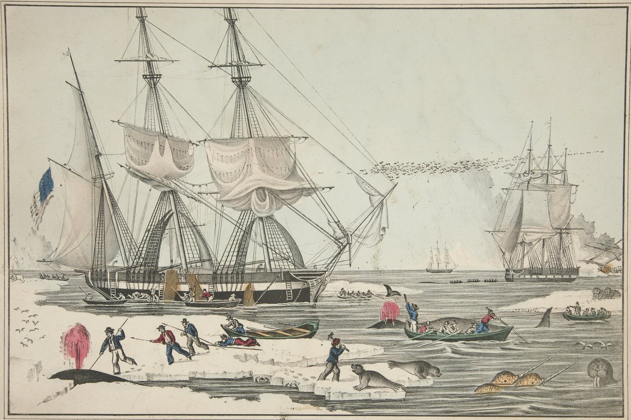 North Sea Whale Fishery, pub. 1860 (lito i färg) av American School