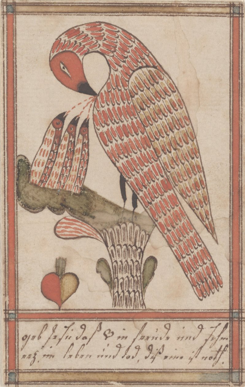 Pelican in its Piety, c.1800 (bläck & wc på papper) av American School