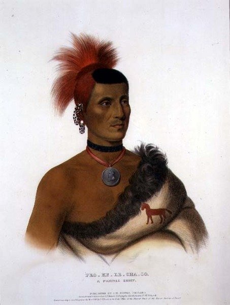 Pes-Ke-Le-Cha-Co, A Pawnee Chief, utgiven av J. T. Bowen (1801-c.1856) 1841 (färglitografi) av American School