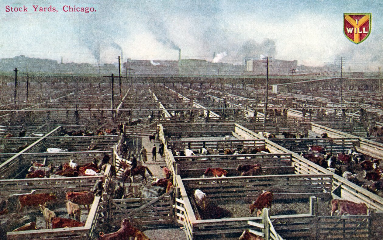 Vykort som visar lagergårdarna och slakterierna i Chicago, ca 1910 (färgat foto) av American School