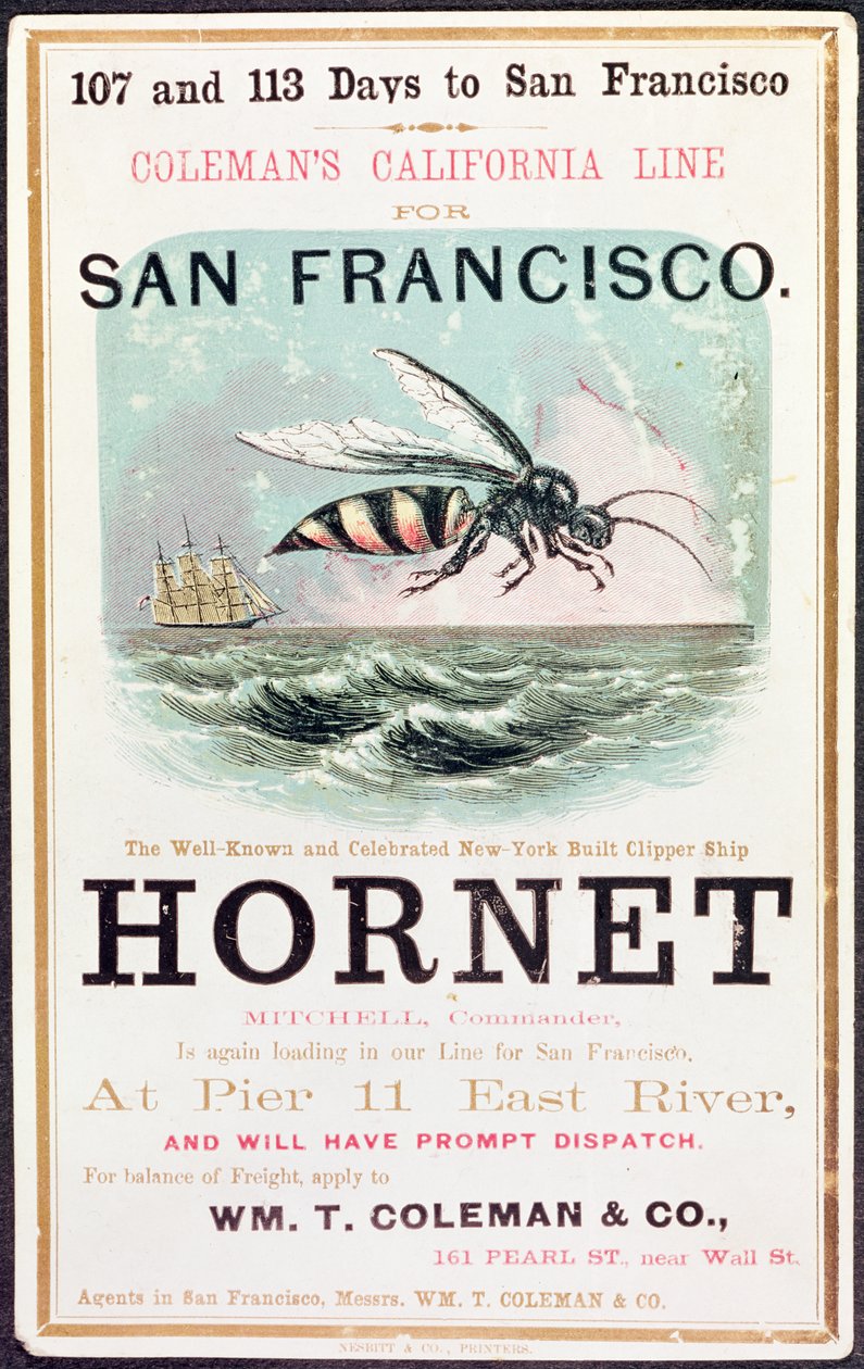 Affisch med reklam för klipparen "Hornet" från New York till San Francisco av American School